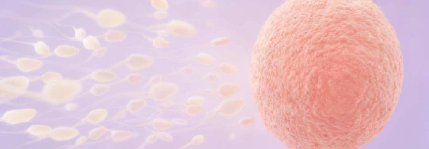 Kısırlıkta Endoskopik Cerrahi Uygulamalar: Histeroskopi