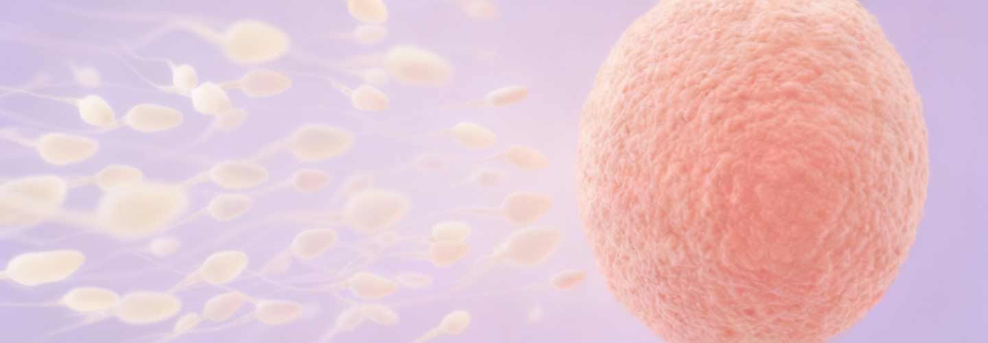 Ovarian Stimulation in IVF – Dr. Aksoy’s Guide