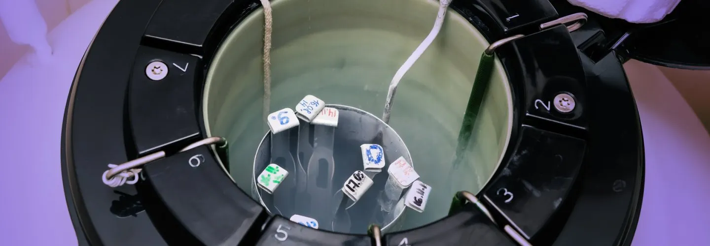 Micro-TESE ve Cerrahi Sperm Arama: TESA, TESE Rehberi