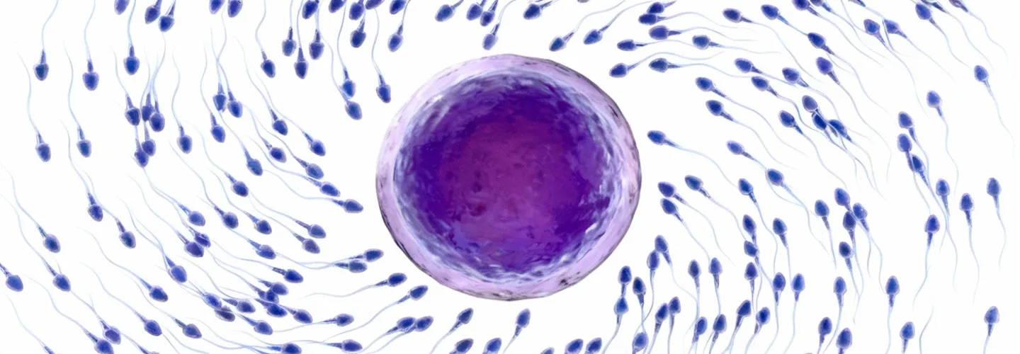 Polip Nedir? Kısırlığa Yol Açar mı?