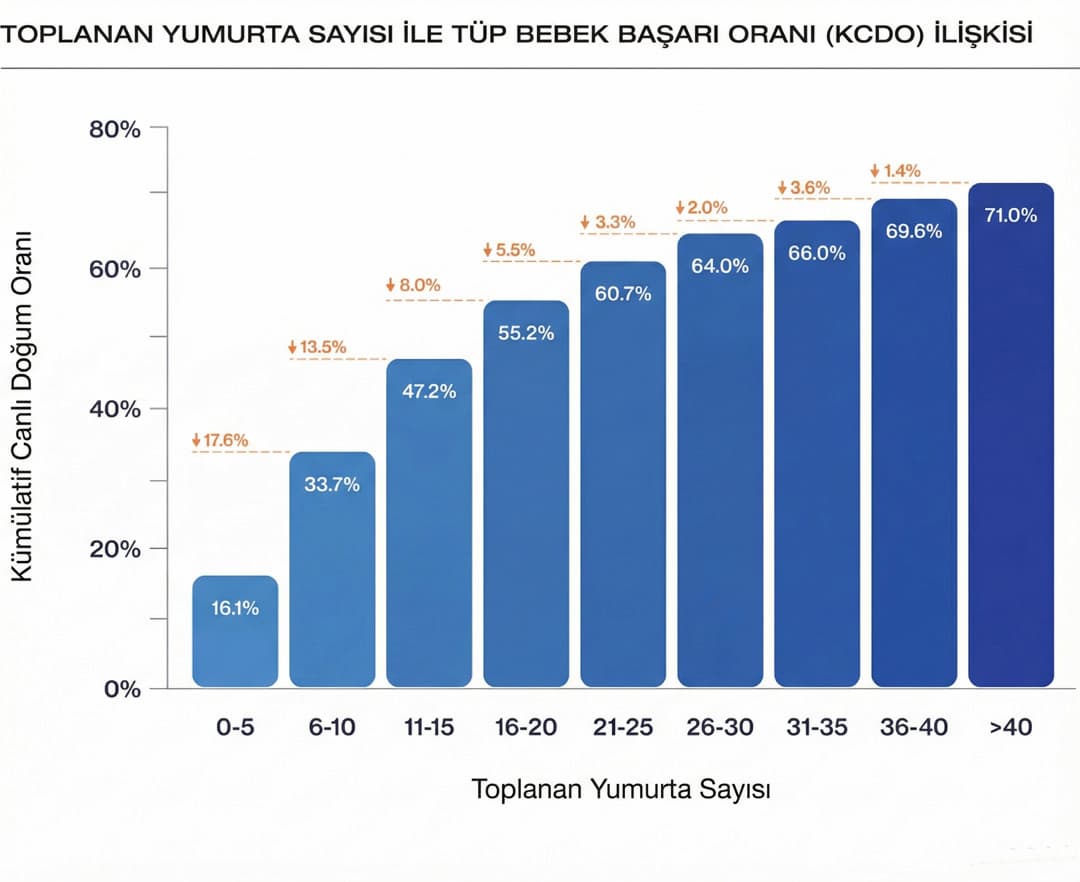 Canlı doğum oranları grafiği