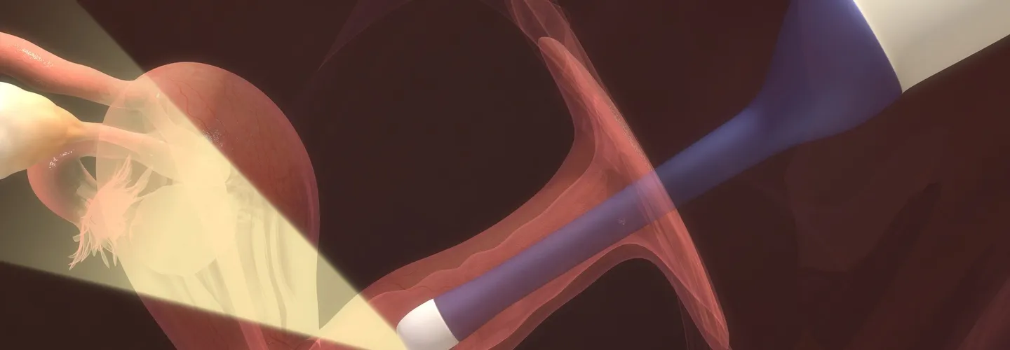 Guide Complet sur les Fibromes Utérins. Tout ce que Vous Devez Savoir par le Dr. Senai Aksoy