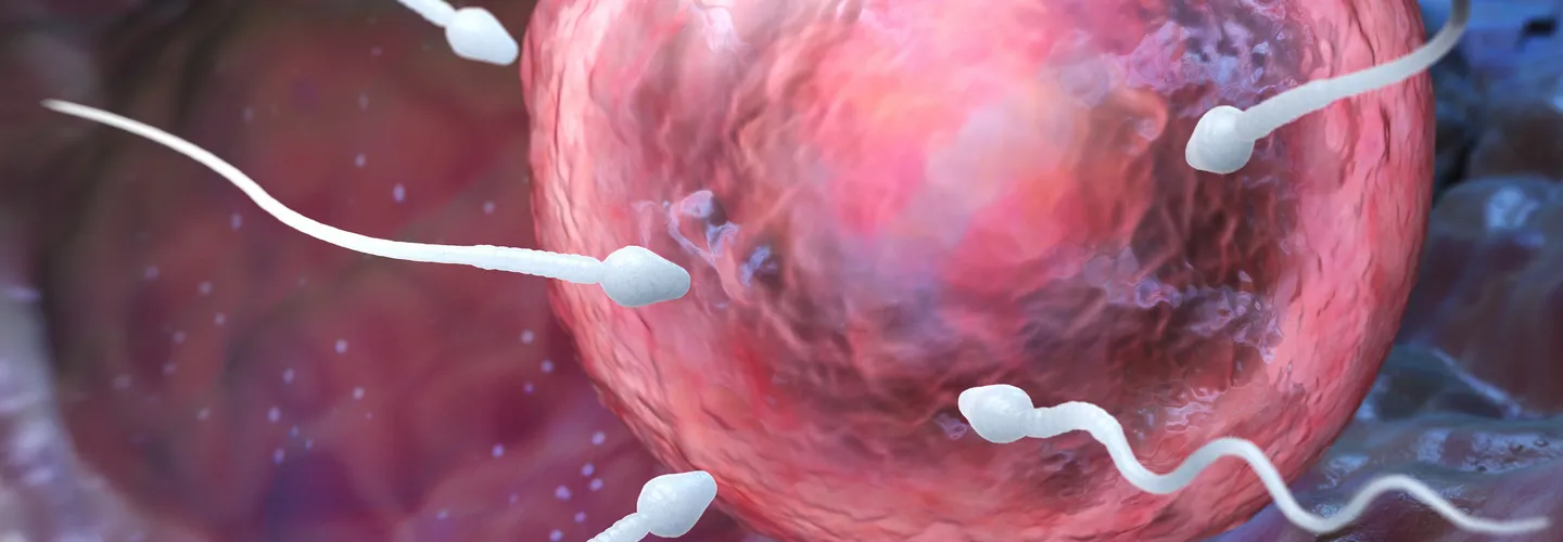 À la conquête de la parentalité, les clés du succès en FIV déchiffrées