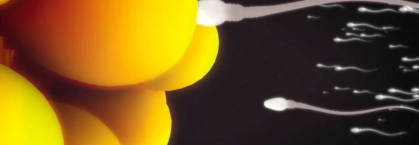 Améliorer la Qualité du Sperme