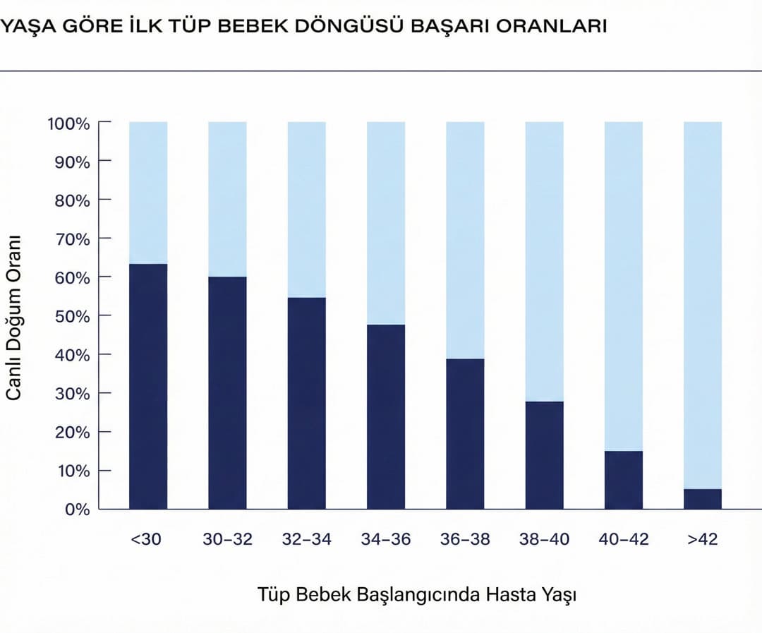 Yaşa göre gebelik oranları grafiği