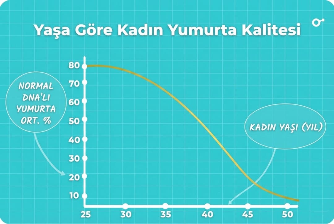 Yumurta DNA kalitesi grafiği