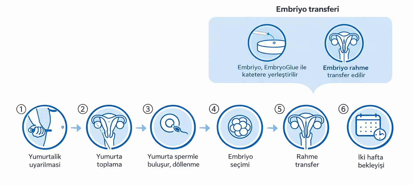 EmbryoGlue embriyo yapıştırıcısı ve implantasyon desteği