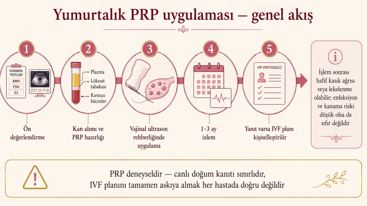 Yumurtalık PRP uygulaması genel akış diyagramı: ön değerlendirme, kan alımı ve PRP hazırlığı, vajinal ultrason rehberliğinde uygulama, 1-3 ay izlem ve kişiselleştirilmiş IVF planı