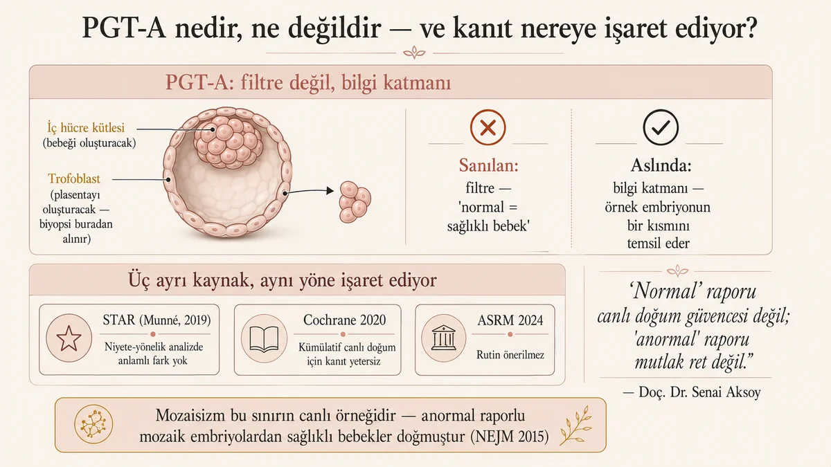 PGT-A bir filtre değil bilgi katmanıdır: trofoblast biyopsi, mozaisizm sınırı ve STAR/Cochrane/ASRM kanıt sentezi rutin kullanım için yeterli desteğin bulunmadığını gösterir